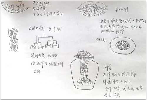 珠宝设计留学作品3