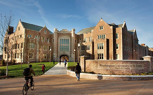 圣路易斯华盛顿大学录取要求